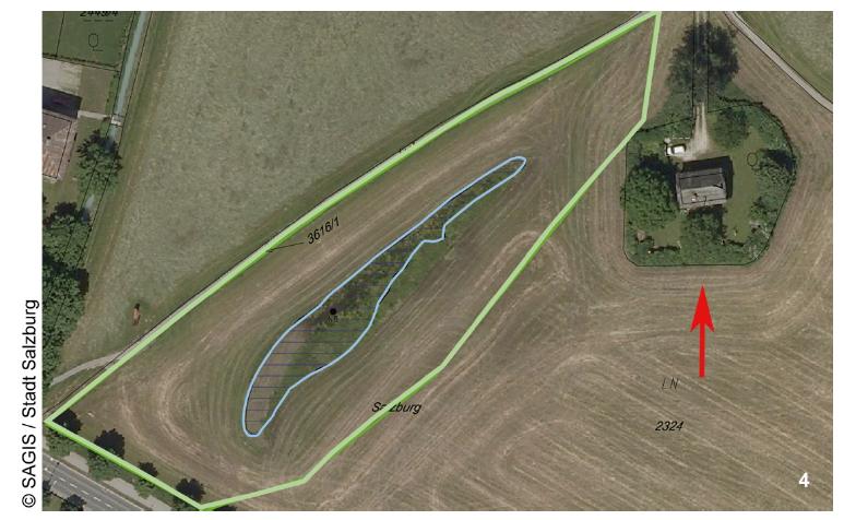 Buffer zone around Krauthügel Pond