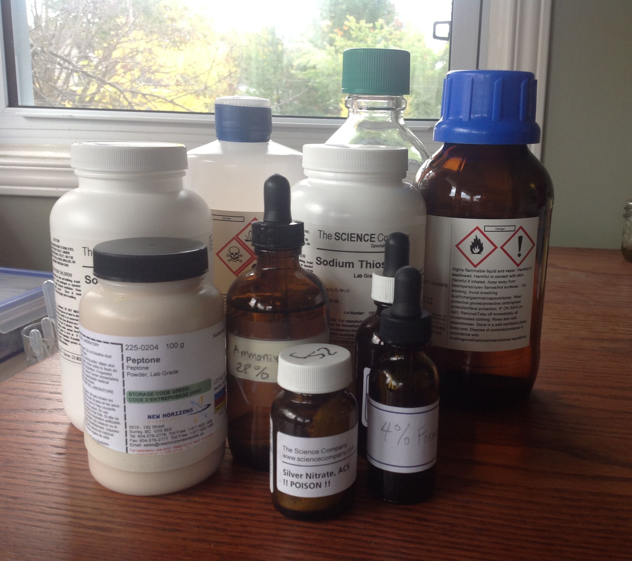 Silver Staining It Came from the Pond