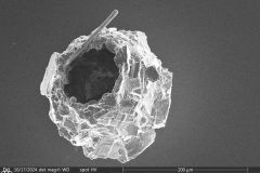 round-rough-shell_001