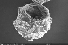 round-rough-shell_005