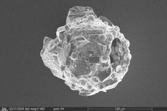 round-shell-small-4