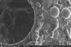 round-shell-small-4_004