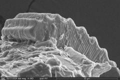 round-shell-small-4_005