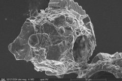 round-shell-small-4_006