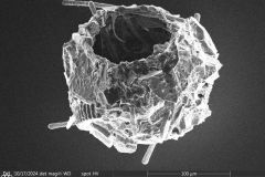 round-shells-smaller-2-no-service-mode_002